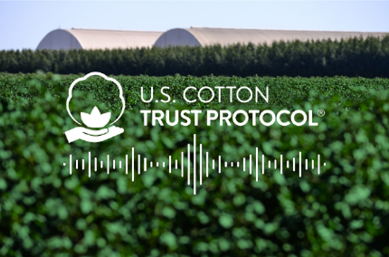 U.S. Cotton Trust Protocol Welcomes over 300 Members in Six Months - Trust  US Cotton Protocol